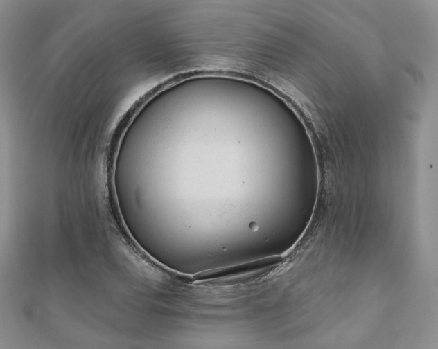 X0000110921120200906181403