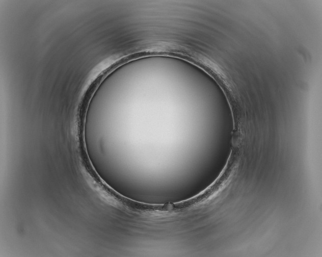 X0000110921122200906181403