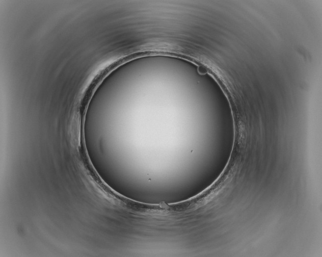 X0000110921123200906181403