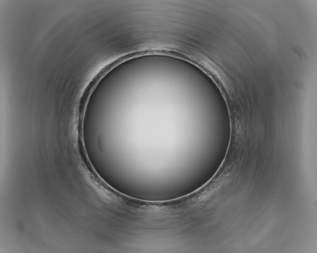 X0000110921124200906181403