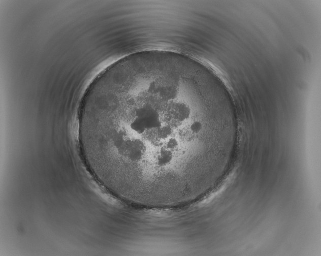 X0000110921125200906181403