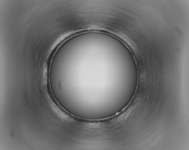 X0000110921126200906181403