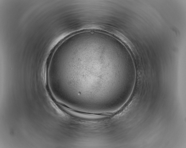 X0000110921127200906181403