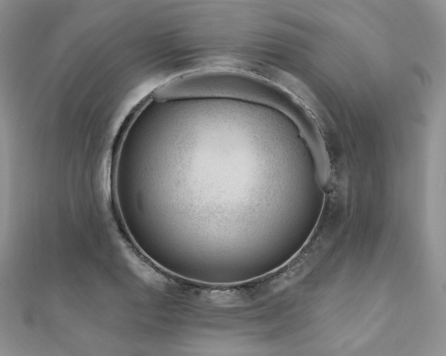 X0000110921128200906181403