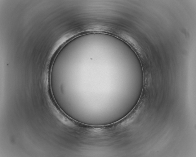 X0000110921130200906181403