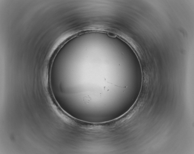 X0000110921131200906181403