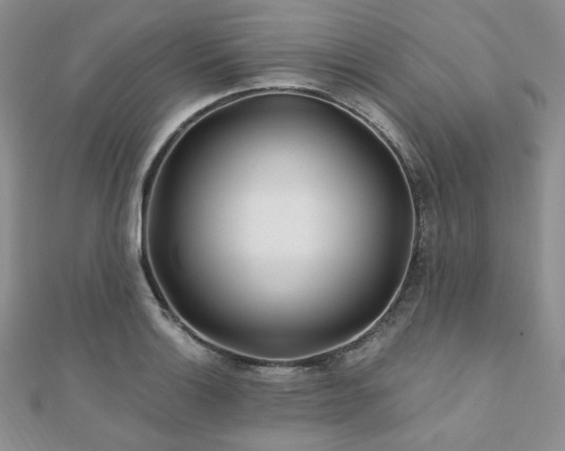 X0000110921132200906181403