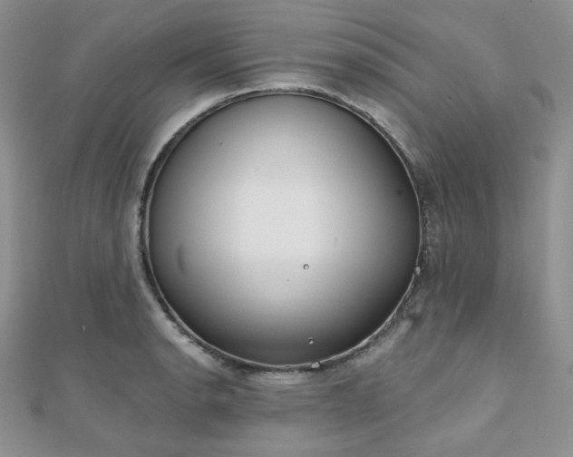 X0000110921134200906181403