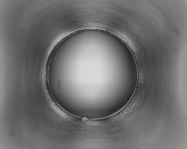 X0000110921136200906181403