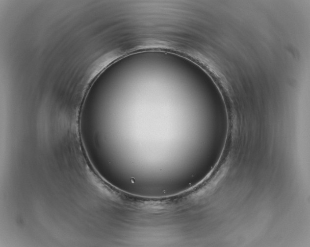 X0000110921137200906181403