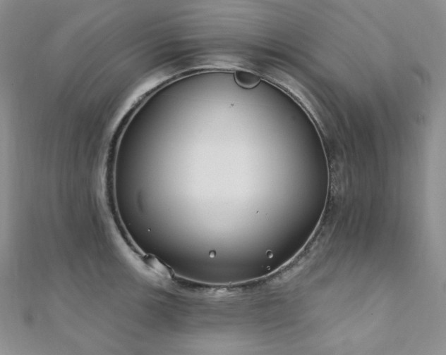X0000110921139200906181403