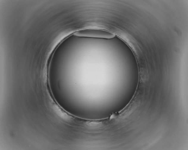X0000110921140200906181403