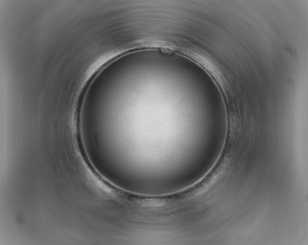 X0000110921141200906181403