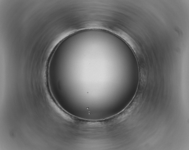 X0000110921142200906181403