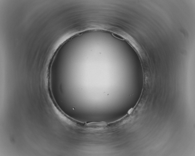 X0000110921143200906181403
