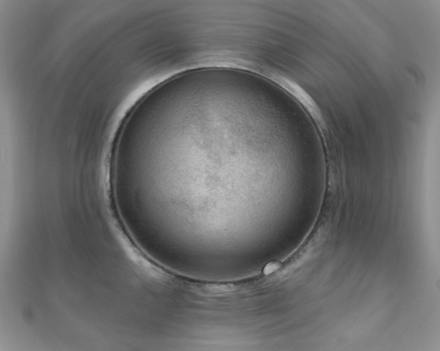 X0000110921144200906181403
