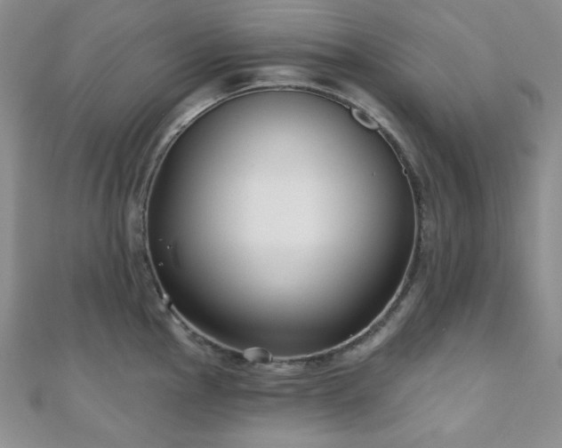 X0000110921145200906181403