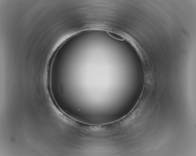 X0000110921147200906181403