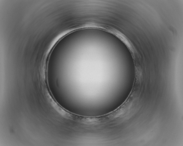 X0000110921148200906181403