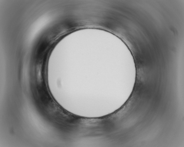 X0000110921150200906181403