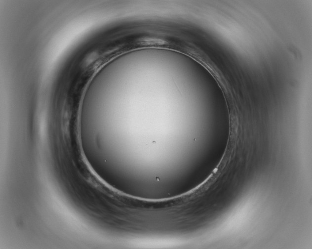 X0000110921151200906181403