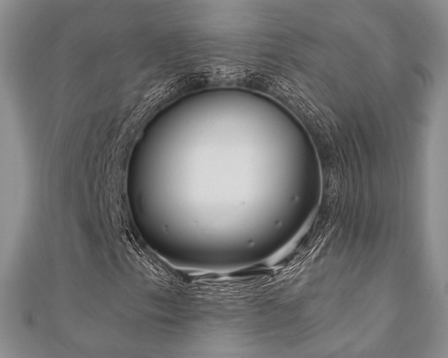 X0000110921153200906181403