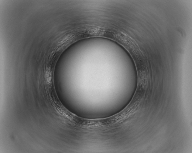 X0000110921154200906181403