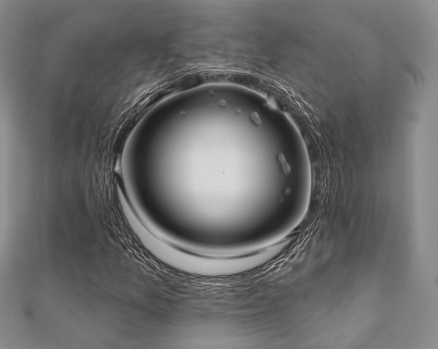 X0000110921157200906181402