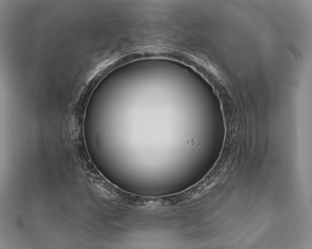 X0000110921160200906181402