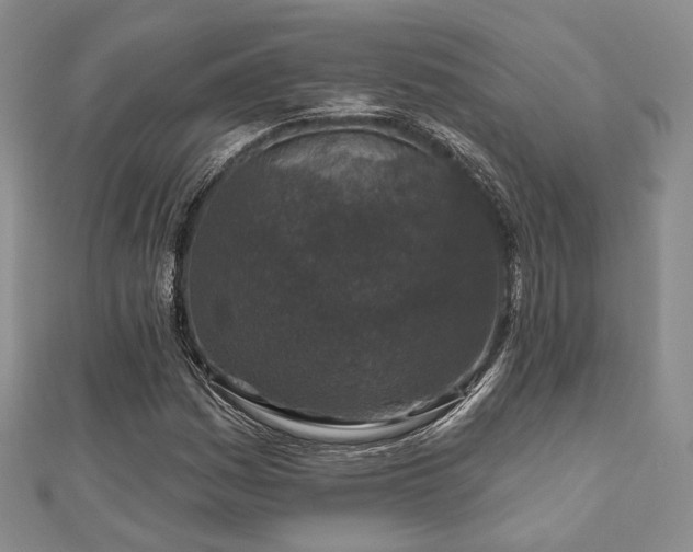 X0000110921161200906181402