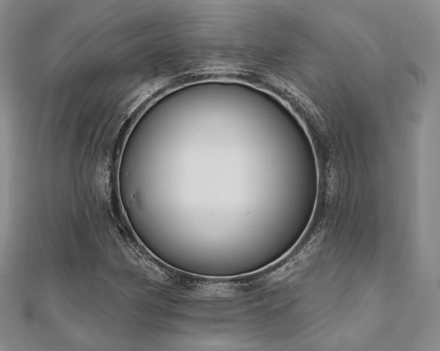 X0000110921162200906181402