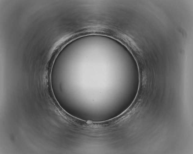 X0000110921164200906181402