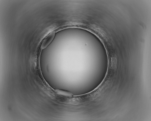 X0000110921165200906181402
