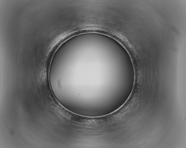X0000110921167200906181402