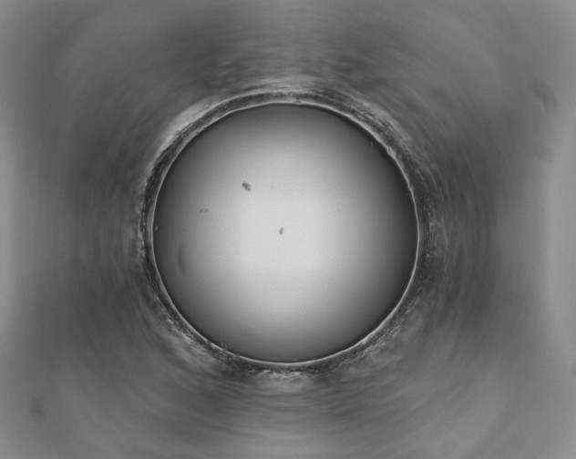 X0000110921168200906181402