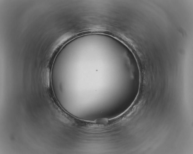 X0000110921171200906181402
