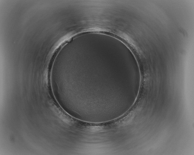 X0000110921173200906181402