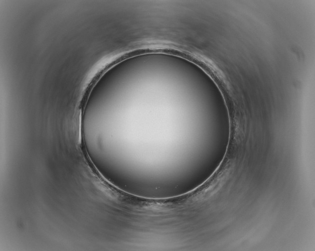 X0000110921175200906181402