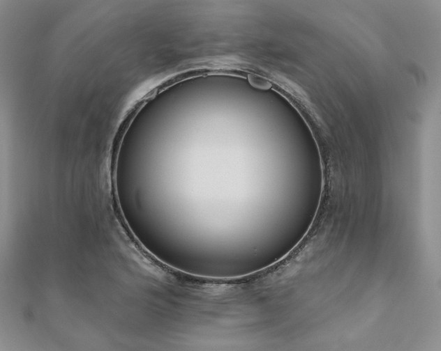 X0000110921176200906181402