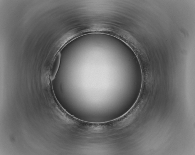 X0000110921177200906181402