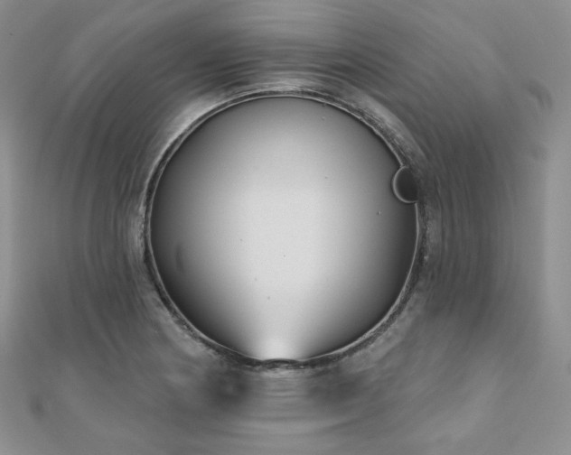 X0000110921178200906181402