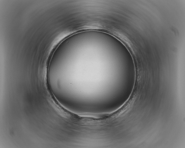 X0000110921179200906181402