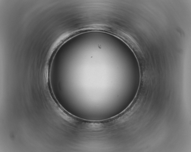 X0000110921180200906181402