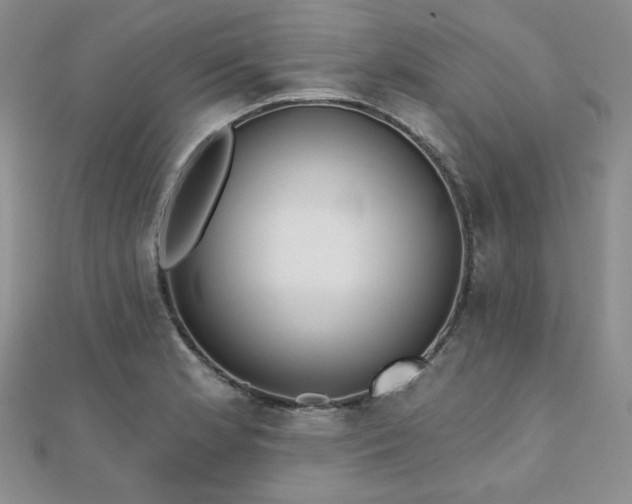 X0000110921181200906181402