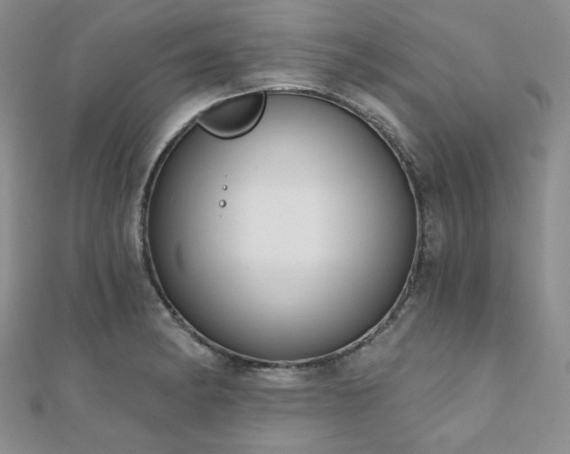 X0000110921182200906181402