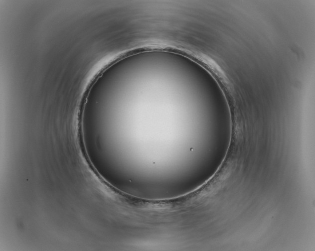 X0000110921183200906181402