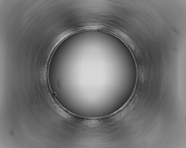 X0000110921186200906181402