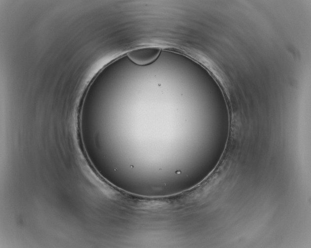 X0000110921187200906181402