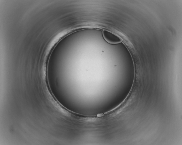 X0000110921188200906181402
