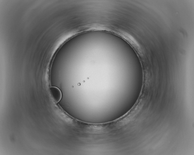 X0000110921190200906181402